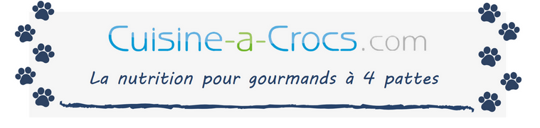 S'inscrire à la Newsletter de Cuisine-a-crocs